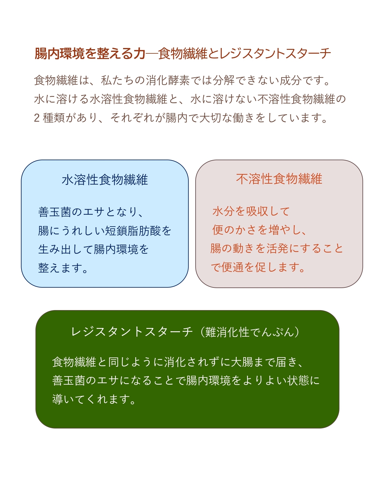 2025年9月　お彼岸に発酵を添えて